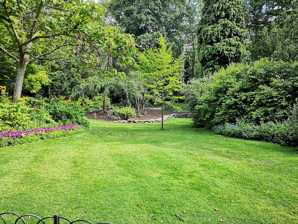 Pelouse entourée d’arbres et de massifs fleuris dans un jardin de ville