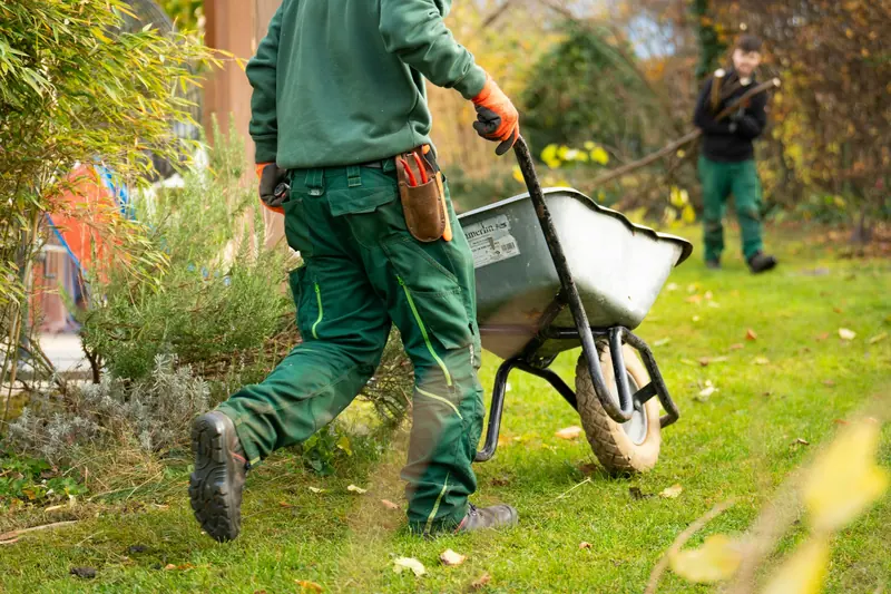 Jardinier poussant une brouette sur une pelouse en automne